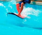 SURFinPALA Június 20-21-22. K-Sz-Cs