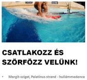 iSurf nyár SURFinPALA új időpontokban!