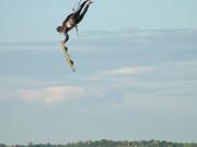 SHOTofTHERIDE változás